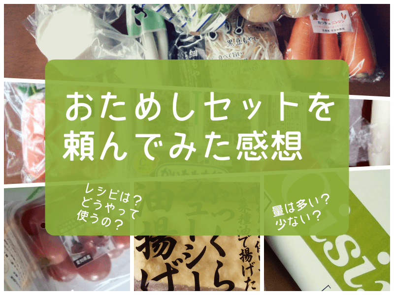 オイシックス　お試し　お得な時期