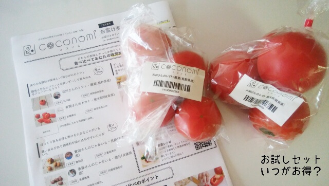 ココノミ お試し 口コミ